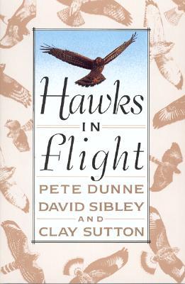 Hawks in Flight: The Flight Identification of North American Migrant Raptors (Paperback)
