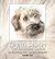 Kennel Design: The Essentia...