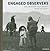 Engaged Observers: Documentary Photography Since the Sixties