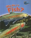 Why Am I a Fish?