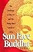 Sun-Face Buddha: The Teachi...