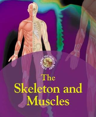 The Skeleton and Muscles (Exploring the Human Body)