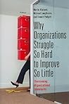 Why Organizations Struggle So Hard to Improve So Little: Overcoming Organizational Immaturity