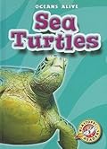 Sea Turtles