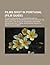 Films Shot in Portugal (Film Guide): The Boys from Brazil, Thunderbirds Are Go, Doppelganger, on Her Majesty's Secret Service, the Ninth Gate