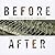 Before (During) After: Loui...