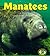 Manatees (Early Bird Nature Books)