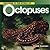 Welcome to the World of Octopuses (Welcome to the World Series)