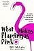 What Makes Flamingos Pink?: A Colorful Collection of Q & A's for the Unquenchably Curious – The Fascinating and Enlightening Second Volume