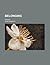 Belonging; A Novel