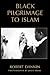 Black Pilgrimage to Islam by Robert Dannin