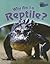 Why Am I a Reptile? (Classifying Animals)