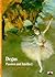 Degas Passion and Intellect (New Horizons) /anglais