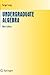 Undergraduate Algebra (Undergraduate Texts in Mathematics)