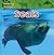 Seals (Amazing Animals)