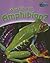 Why Am I an Amphibian?