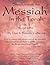 Shadows of the Messiah in the Torah Volume 1 by Dan &. Brenda Cathcart