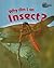 Why Am I an Insect?