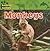 Monkeys (Amazing Animals)
