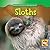 Sloths (Animals That Live in the Rain Forest)