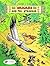 Yakari and the Stranger (Ya...