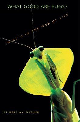 What Good Are Bugs?: Insects in the Web of Life (Hardcover)