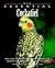 The Essential Cockatiel