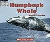 Humpback Whale
