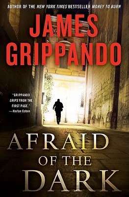 Afraid Of The Dark (Jack Swyteck, #9)