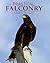 Practical Falconry