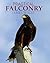 Practical Falconry by James McKay