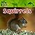 Squirrels