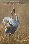 Birds of India by Amano Samarpan