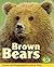 Brown Bears by Lynn M. Stone