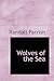 Wolves of the Sea: Being a Tale of the Colonies from the Manuscript of One Geoffry Carlyle, Seaman, Narrating Certain Strange Adventures Which Befell Him Aboard the Pirate Craft "Namur"