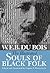 Illustrated Souls of Black Folk by W.E.B. Du Bois