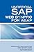 SAP Web Dynpro for ABAP Int...