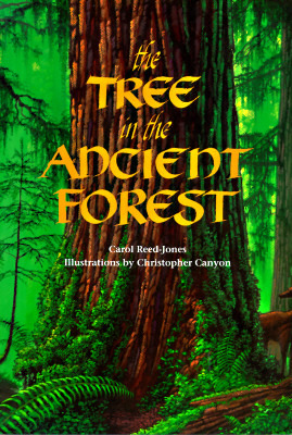 The Tree in the Ancient Forest (Paperback)