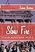 Slow Fire: Jewish Notes from Berlin