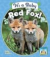It's a Baby Red Fox (Baby Mammals)
