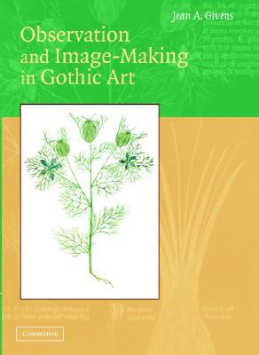 Observation and Image-Making in Gothic Art (Hardcover)
