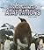 Polar Animal Adaptations (A+ Books: Amazing Animal Adaptations)