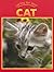 Caring for Your Cat