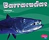 Barracudas (Pebble Plus; Under the Sea)