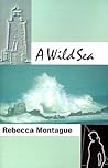 A Wild Sea