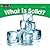 What Is Solid? (Rising Readers: Science Set 2: Levels E-i)