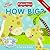 How Big?: A Sooo Big Book