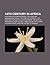 14th Century in Africa: 14th-Century African People, 14th-Century Monarchs in Africa, 14th Century in Egypt, 14th Century in Ethiopia