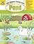 All About the Pond