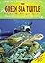 The Green Sea Turtle: Help ...